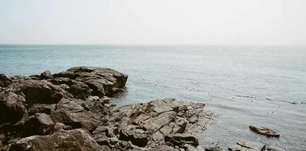 Women's Health: Understanding Mammography and Breast Density